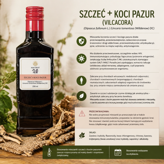 Szczeć i Koci Pazur